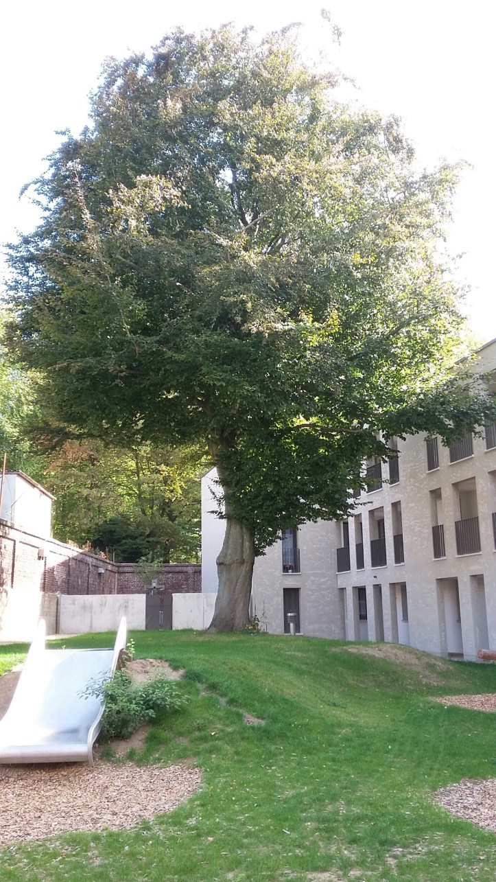 20180908_160634_resized