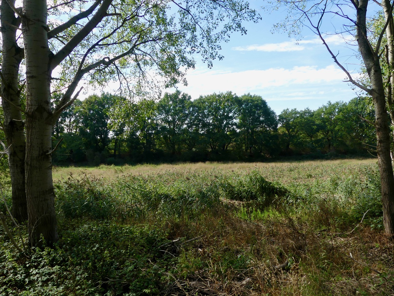 P1000579