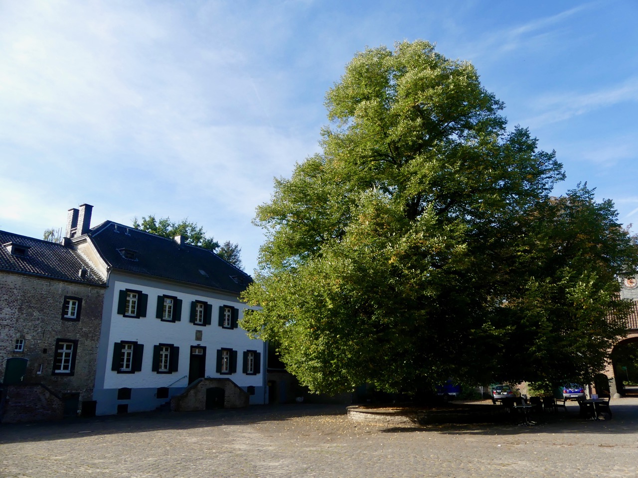 P1000591