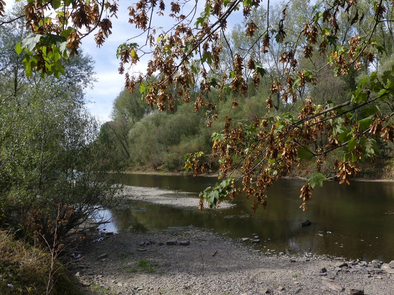 P1000605