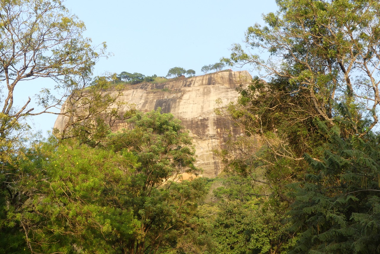 P1010470