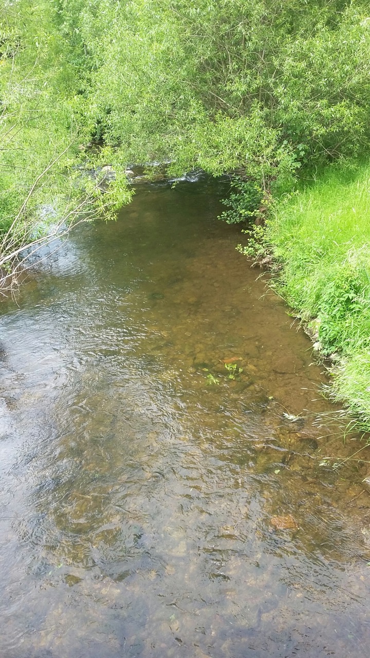 20190608_152409_resized