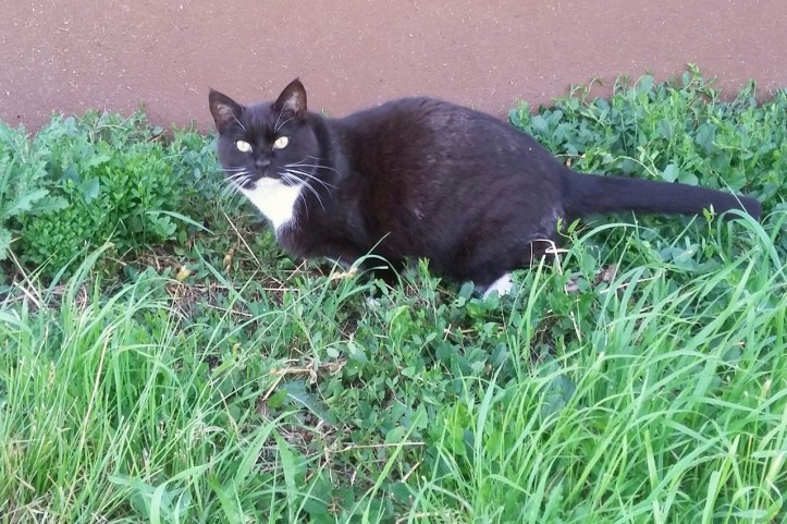 20190608_154504_resized