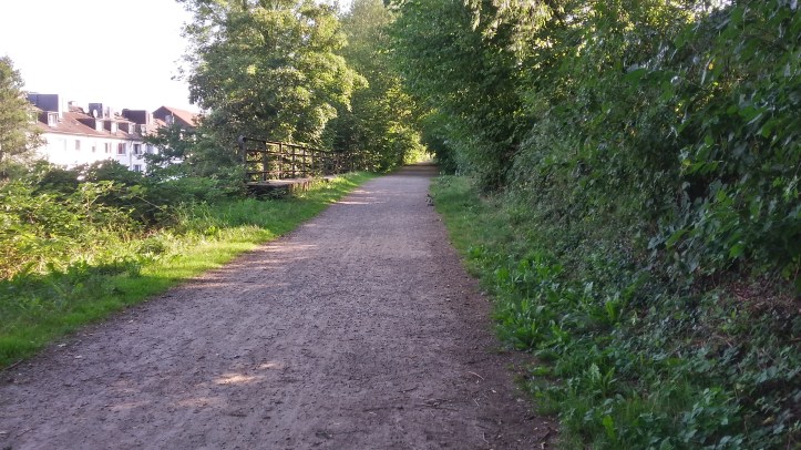 20190825_092709_Richtone(HDR)